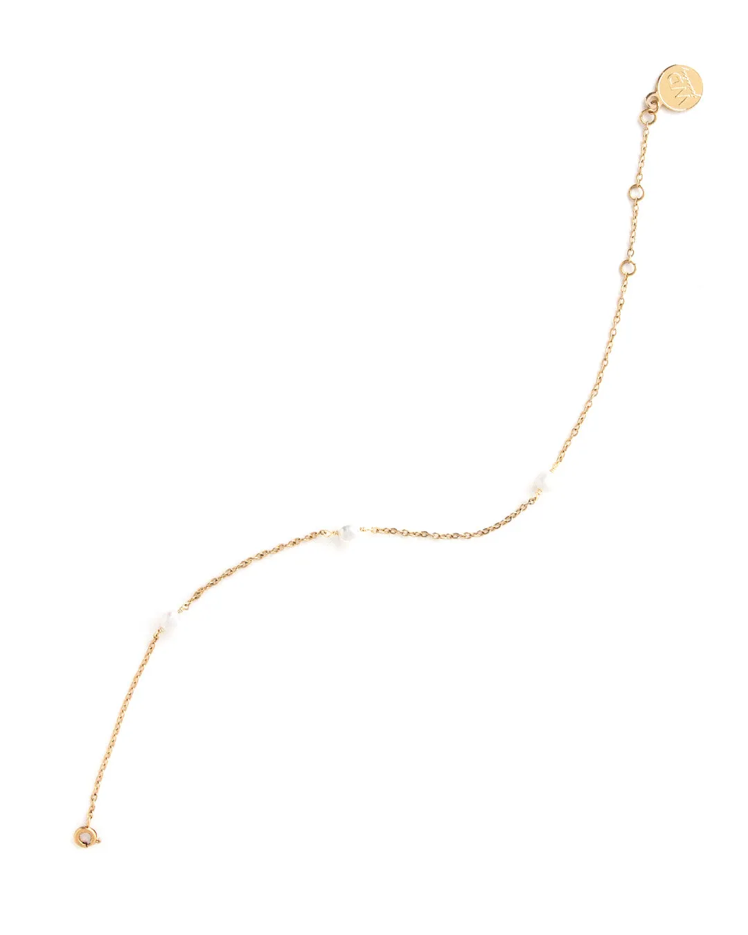 Frisco Gold Anklet