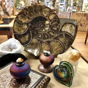 Home Decor- Fossils, Crystals, Art Glass, Pottery