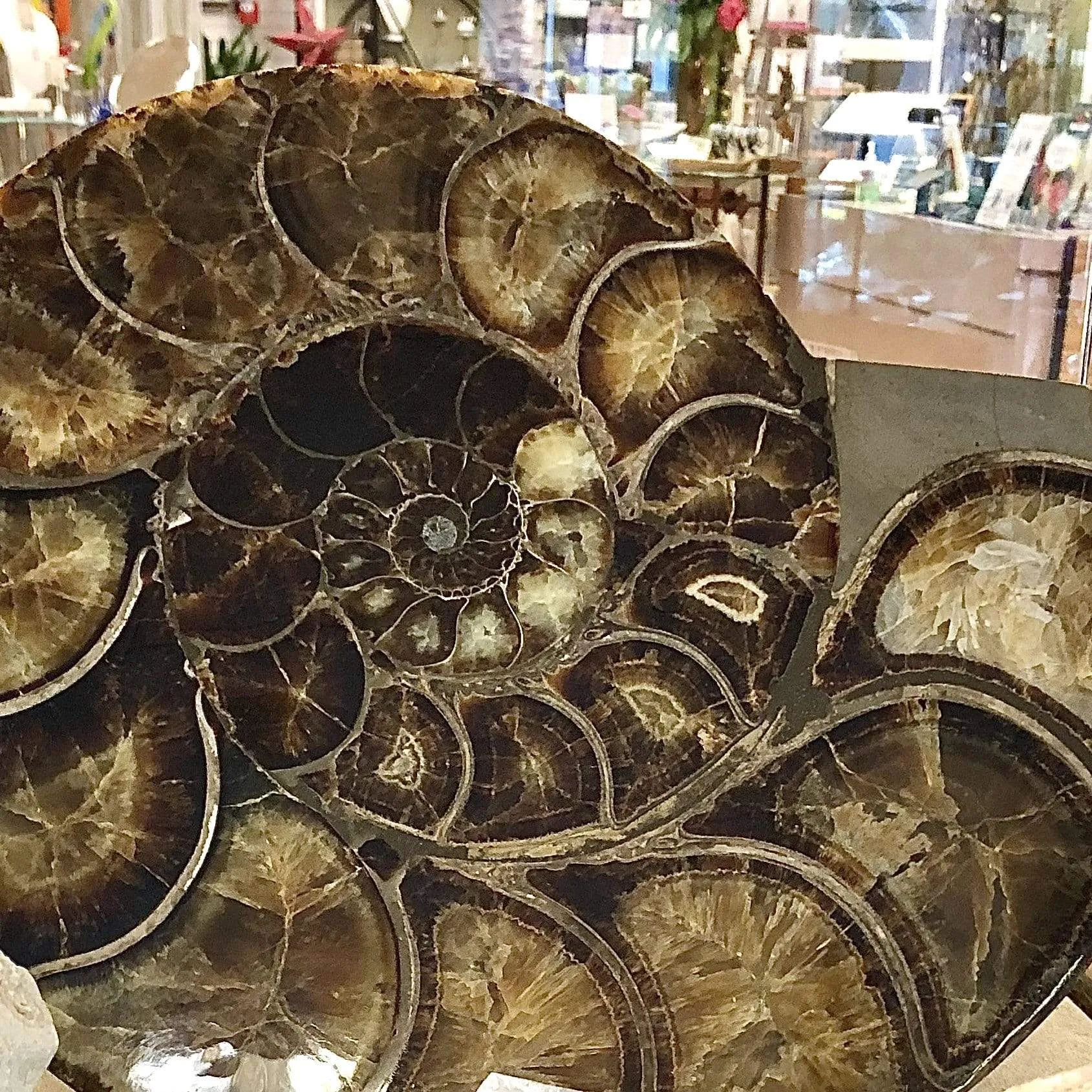 Home Decor- Fossils, Crystals, Art Glass, Pottery