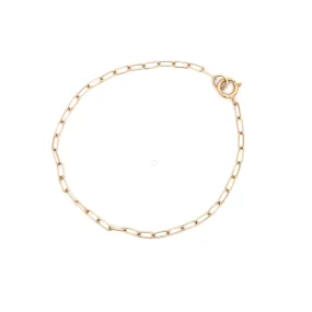 wd1004 14kt paperlink 9.5in anklet